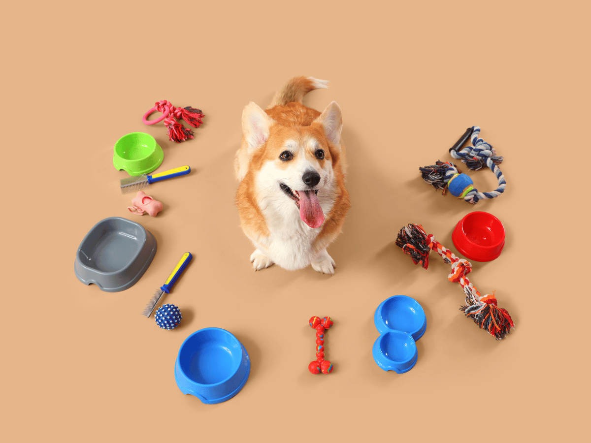 Laboratuvarda geliştirilen premium kedi maması